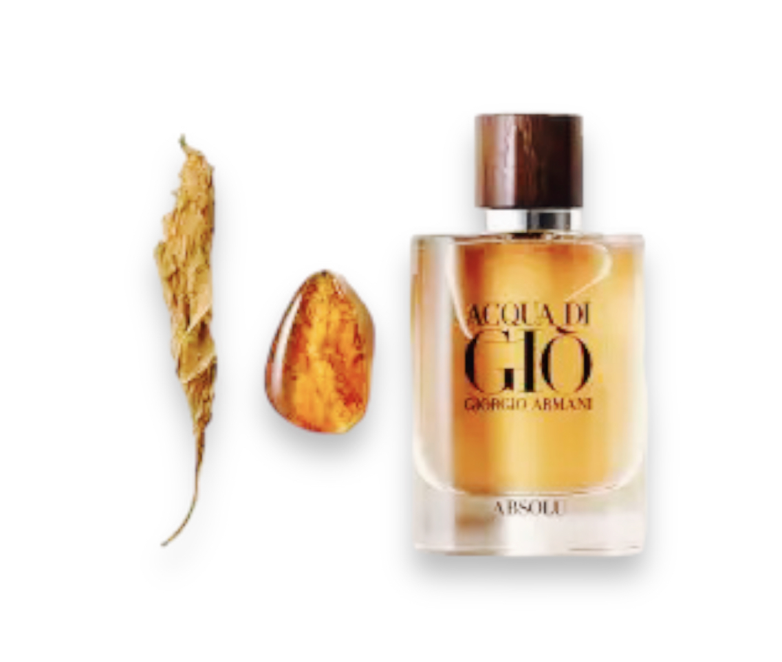 Acqua di Gio Absolu Eau de Parfum Fragrance Galore